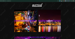 my past client Surreal Nightlife